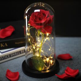 Eternal Rose LED Light